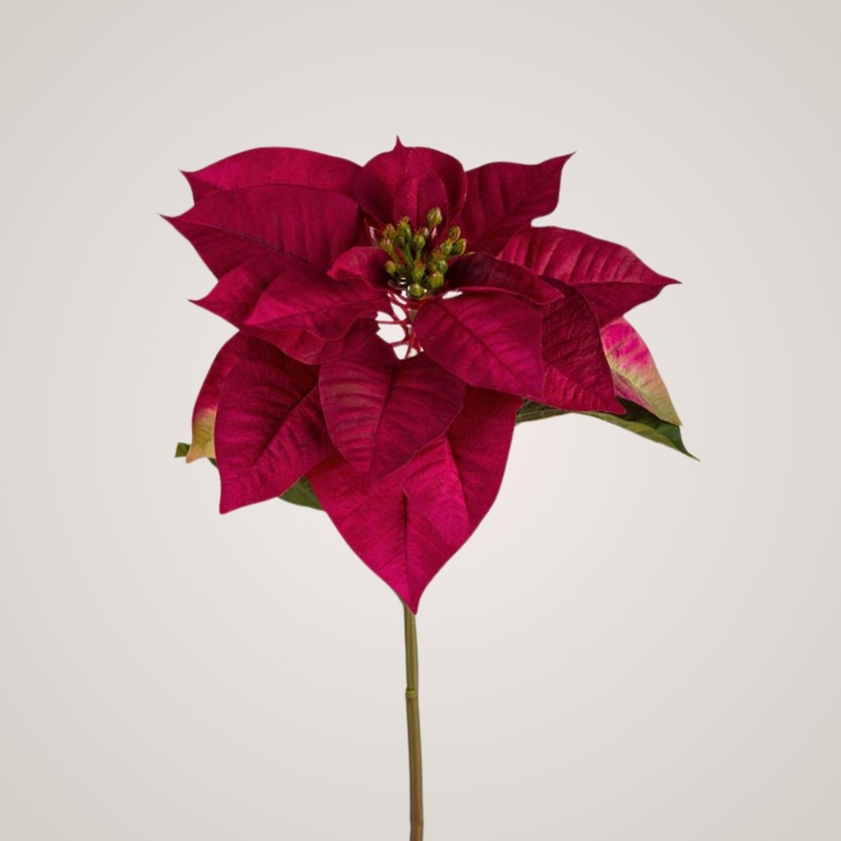 Kunstig julstjärta från Mr. Plant, 70 cm hög med djupa röda blader.