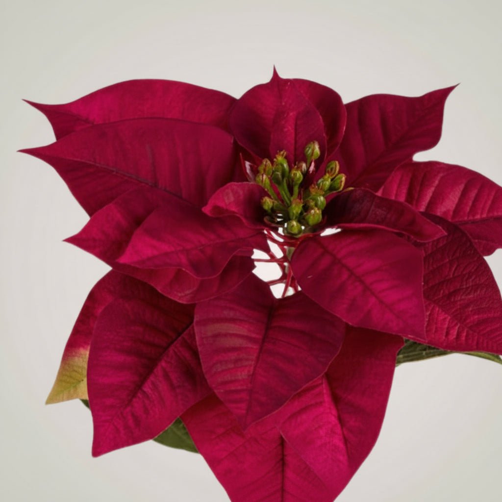 Realistisk julstjärna på stilk, dekorativ blomma till julpynt och arrangemang