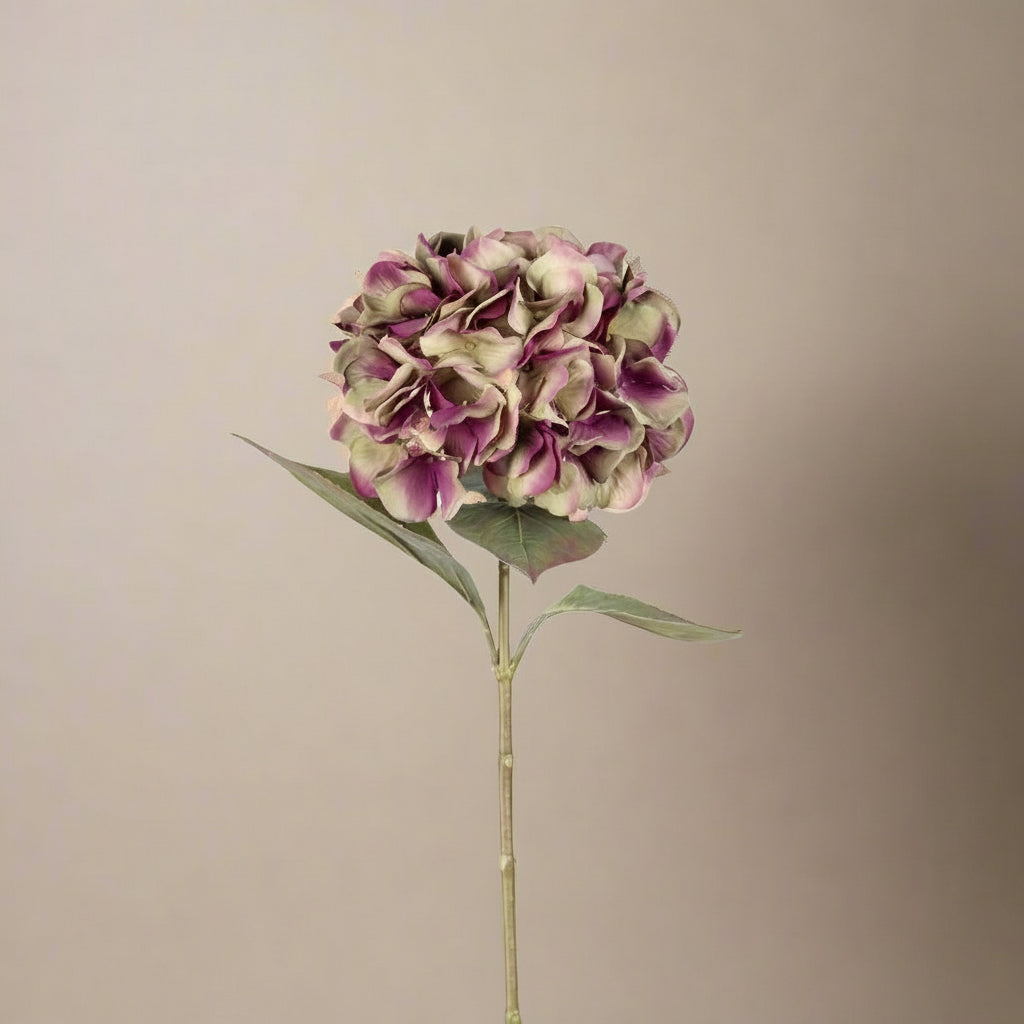 Mr. Plant Hortensia lilla/grønn, 65 cm