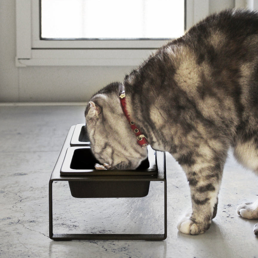 Sort matskålstativ med avtakbar skål.