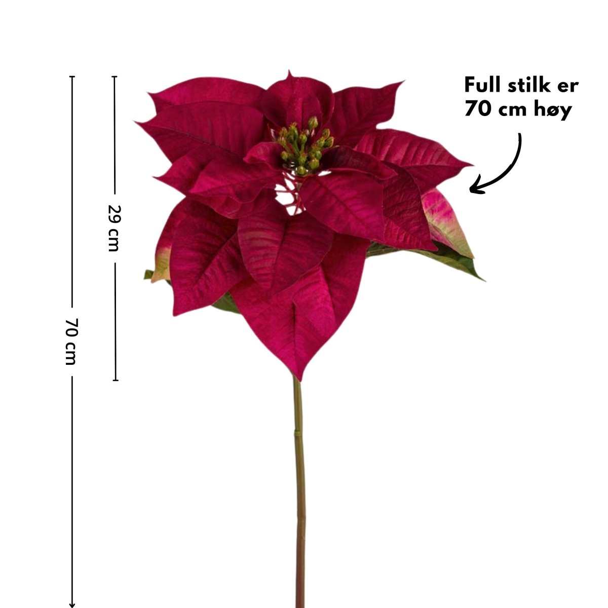 Stor julstjärna 70 cm i klassisk röd färg, realistisk planta från Mr. Plant.