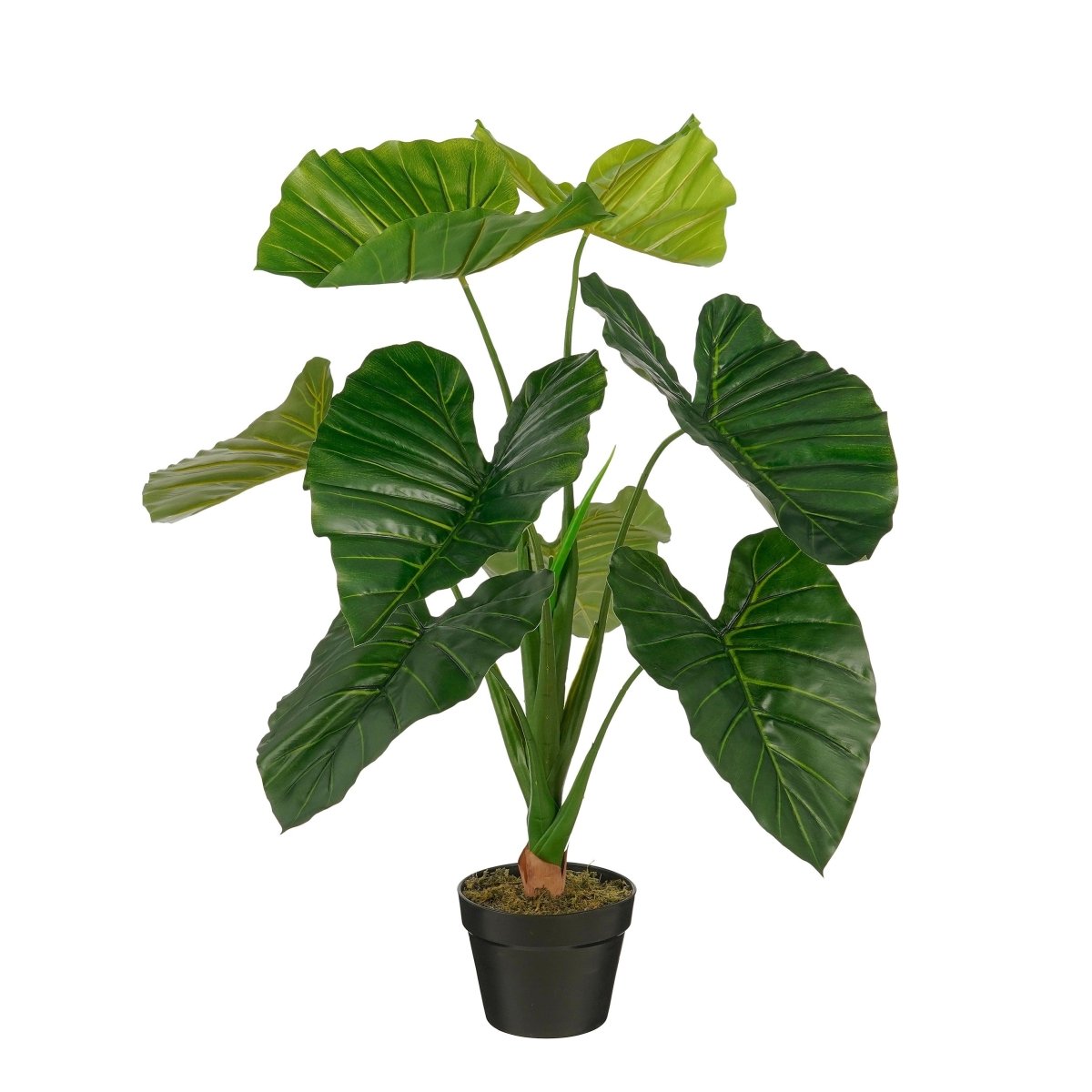 Taro kunstig plante grønn med store blader og potte - Lindas Dekor