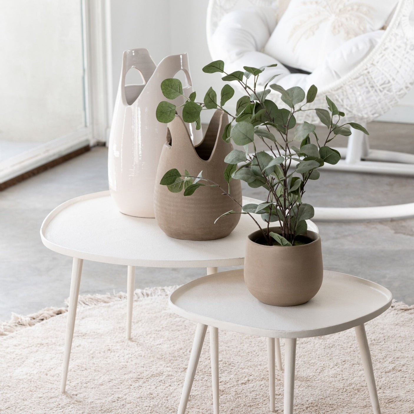 Nydelig Eucalyptusplante i sort potte. Passer perfekt for den som ønsker å dekorere hjemmet med livlige planter uten å måtte vanne.