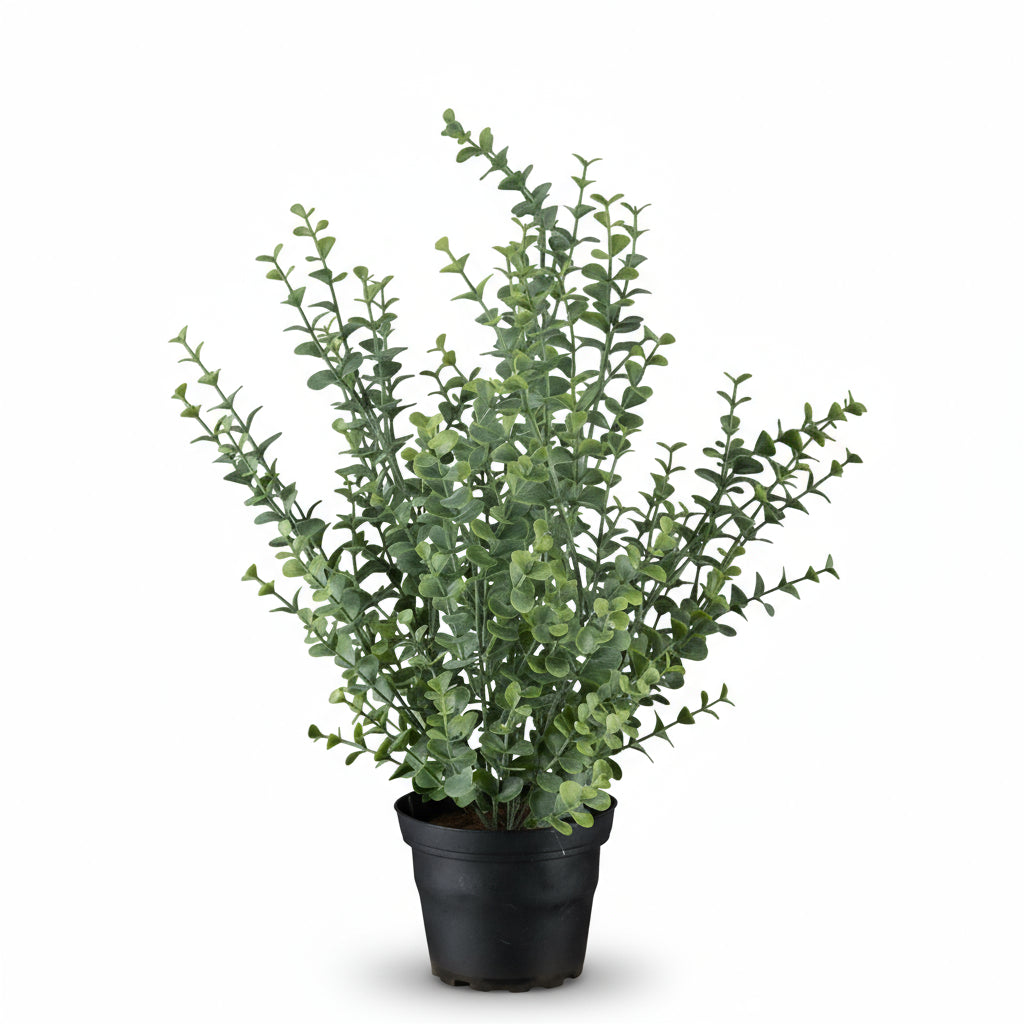 Naturtro kunstig eucalyptusplante i sort potte – perfekt for vedlikeholdsfri grønn dekor i hjemmet.