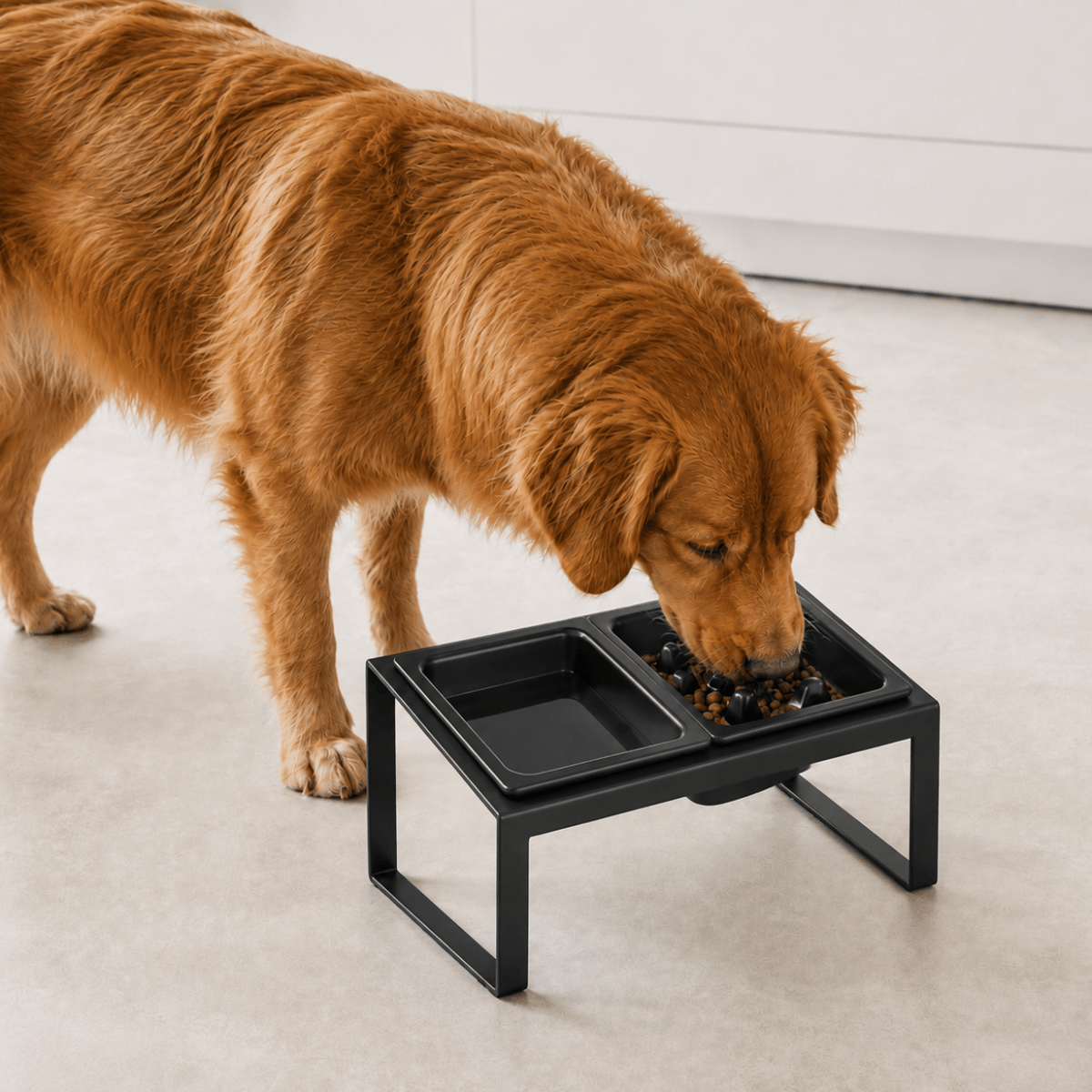 Hund eter fra hevet matskål med slow feeder sort fra Yamazaki på kjøkkengulv