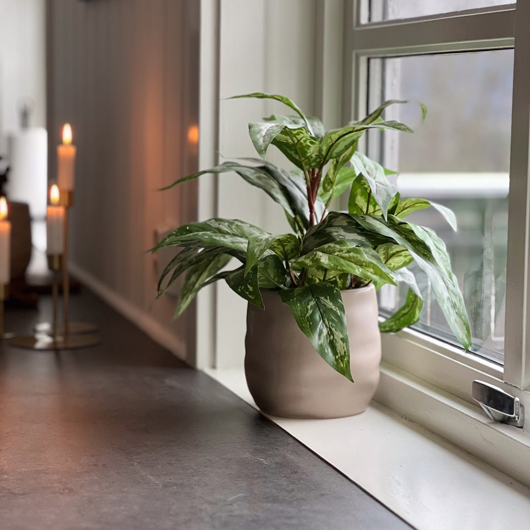 Mr. Plant Aglonema 35 cm - Lindas Dekor Kunstige planter