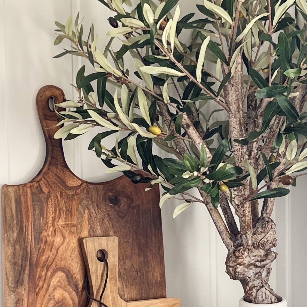 Mr. Plant Oliventre 80 cm