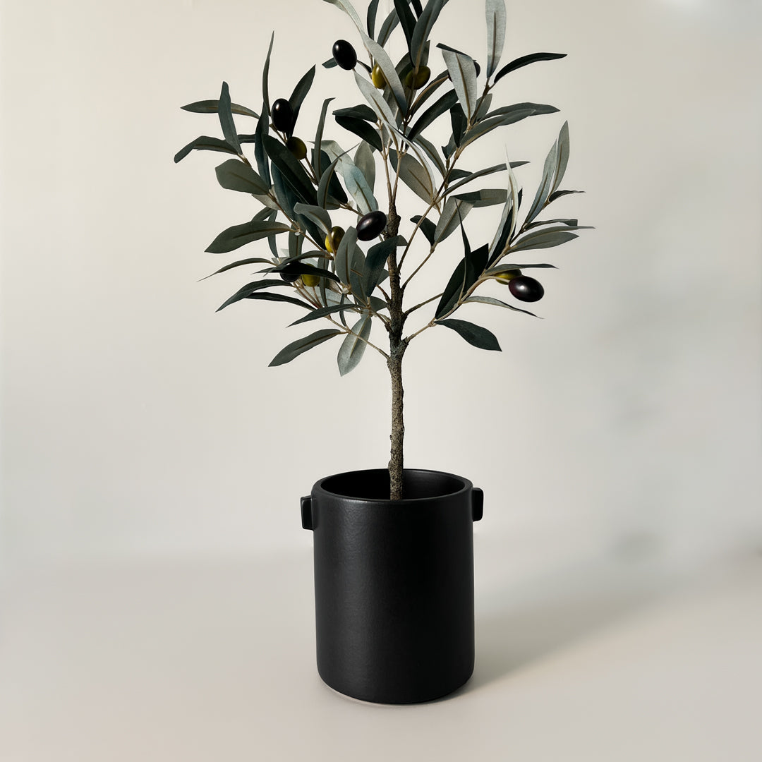 Sort steingodspotte Justine med grønn plante på kommode i moderne interiør.