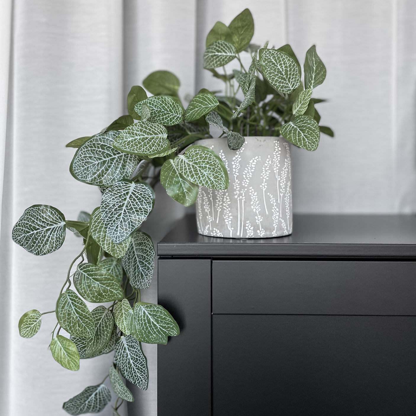 Kunstig Fittonia-plante i mønstret potte på mørk skjenk foran lyse gardiner.