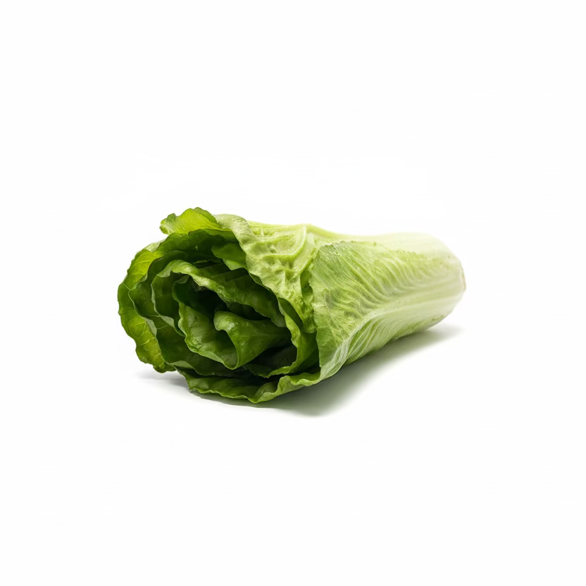 Mr. Plant Salat detalj - kunstig salat med autentisk overflate og naturlige grønne fargenyanser