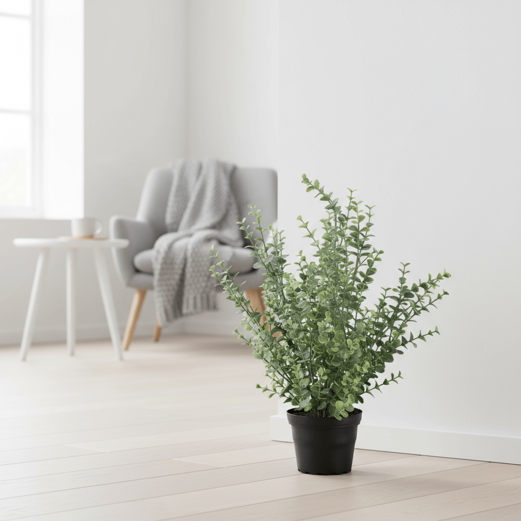 Mr. Plant eucalyptus - Lindas Dekor