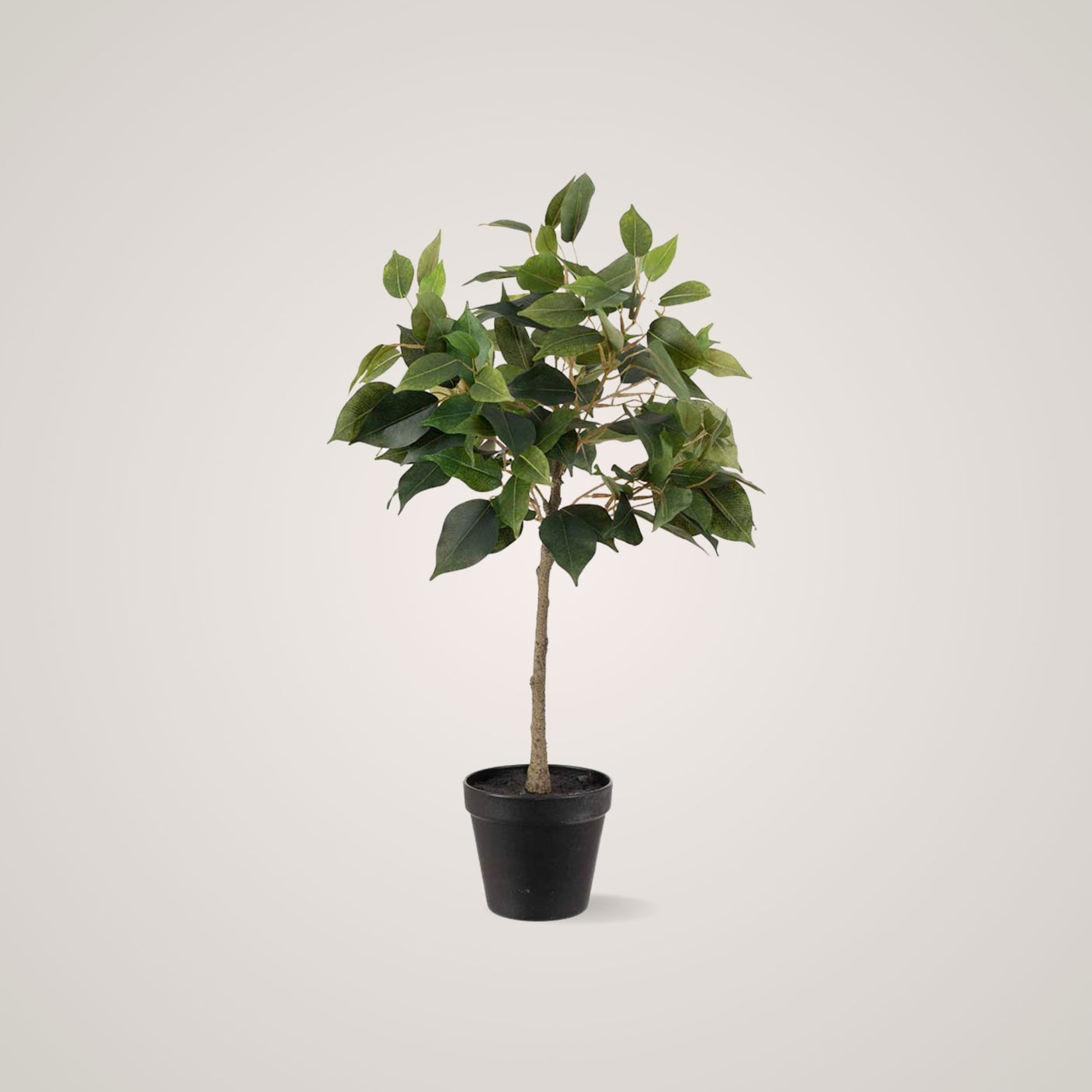 Mr. Plant Fikus Benjamin er en elegant plant i plast som ikke trenger å vannes. Med sitt eksotiske preg er den et nydelig dekorativt element i alle rom.