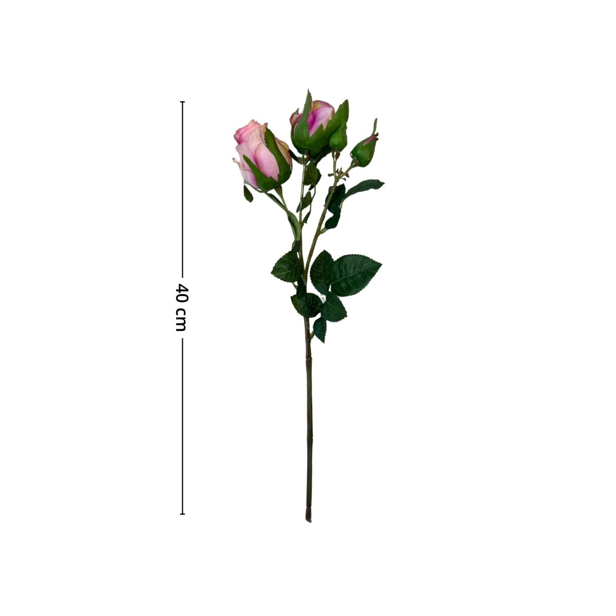 Mr. plant rose rosa - Lindas Dekor