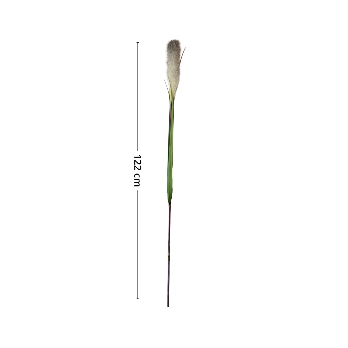 Mr. plant pampasgress 122 cm - Lindas Dekor