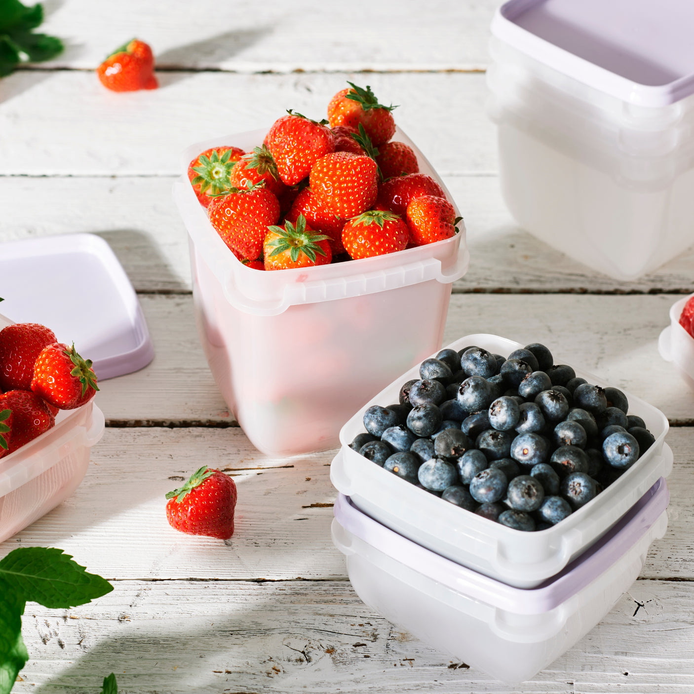 Oppbevaringsbokser til fryser i 4 pk med 0,75 liters kapasitet