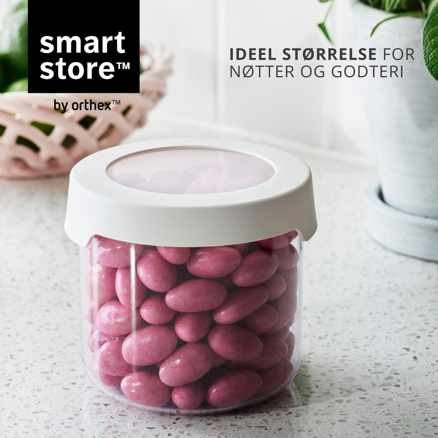 Transparent oppbevaringsboks til tørrmat med hvitt skrulokk