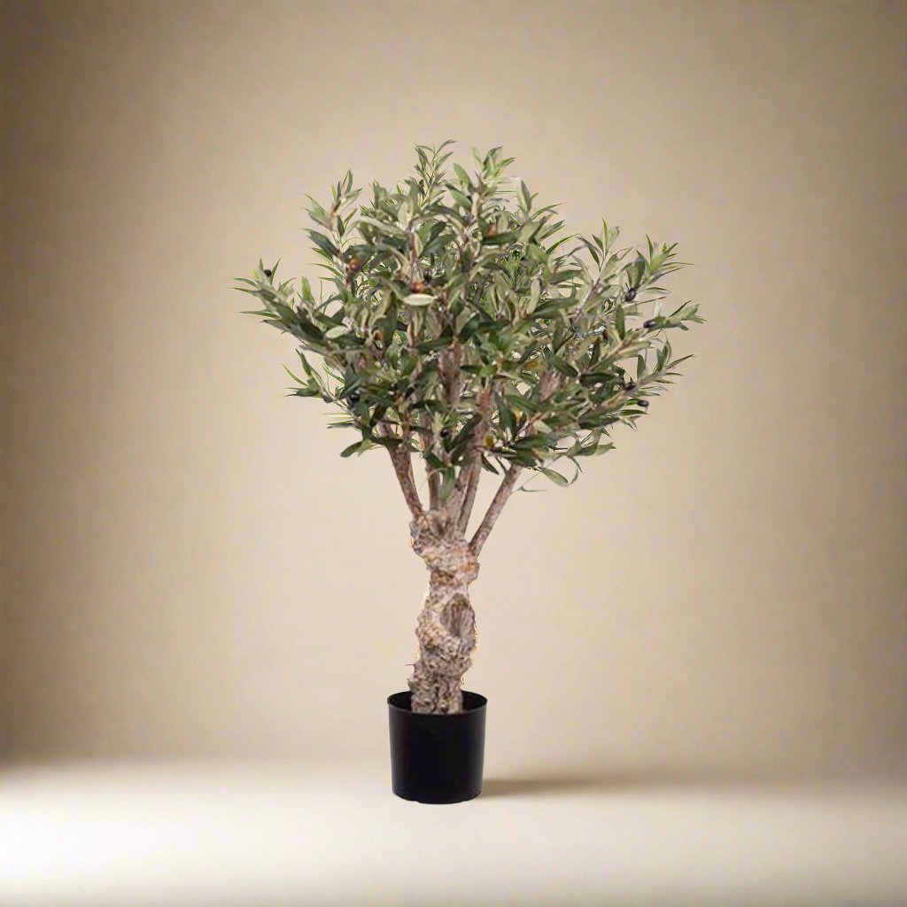 Mr. Plant Oliventre 80 cm
