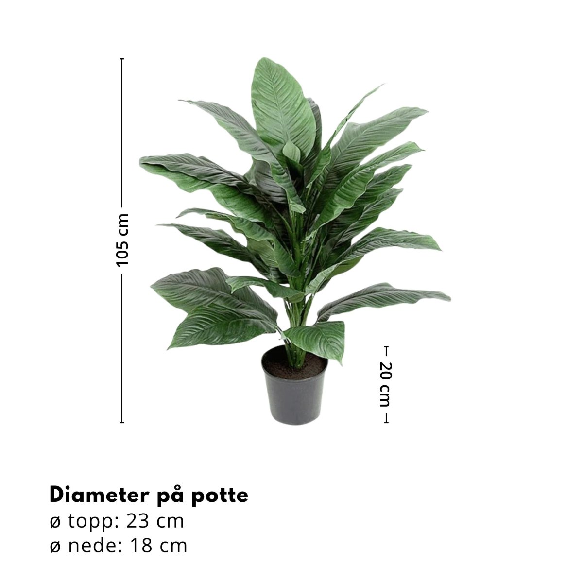 Mr. Plant Spathiphyllum 105 cm - Lindas Dekor