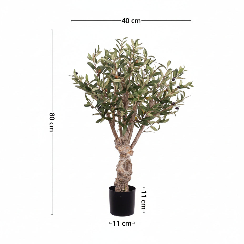 Mr. Plant Oliventre 80 cm