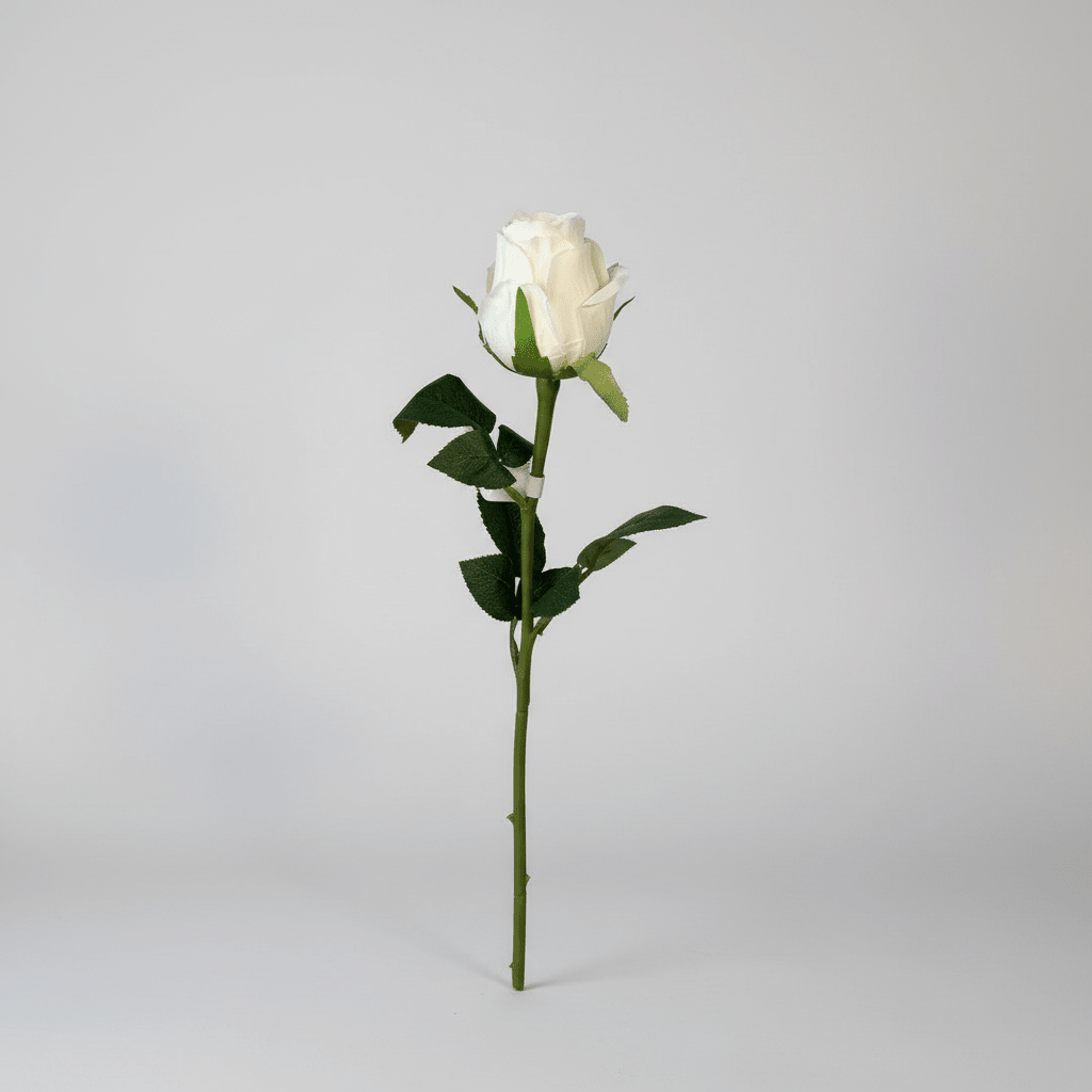Mr. plant rose hvit - Lindas Dekor
