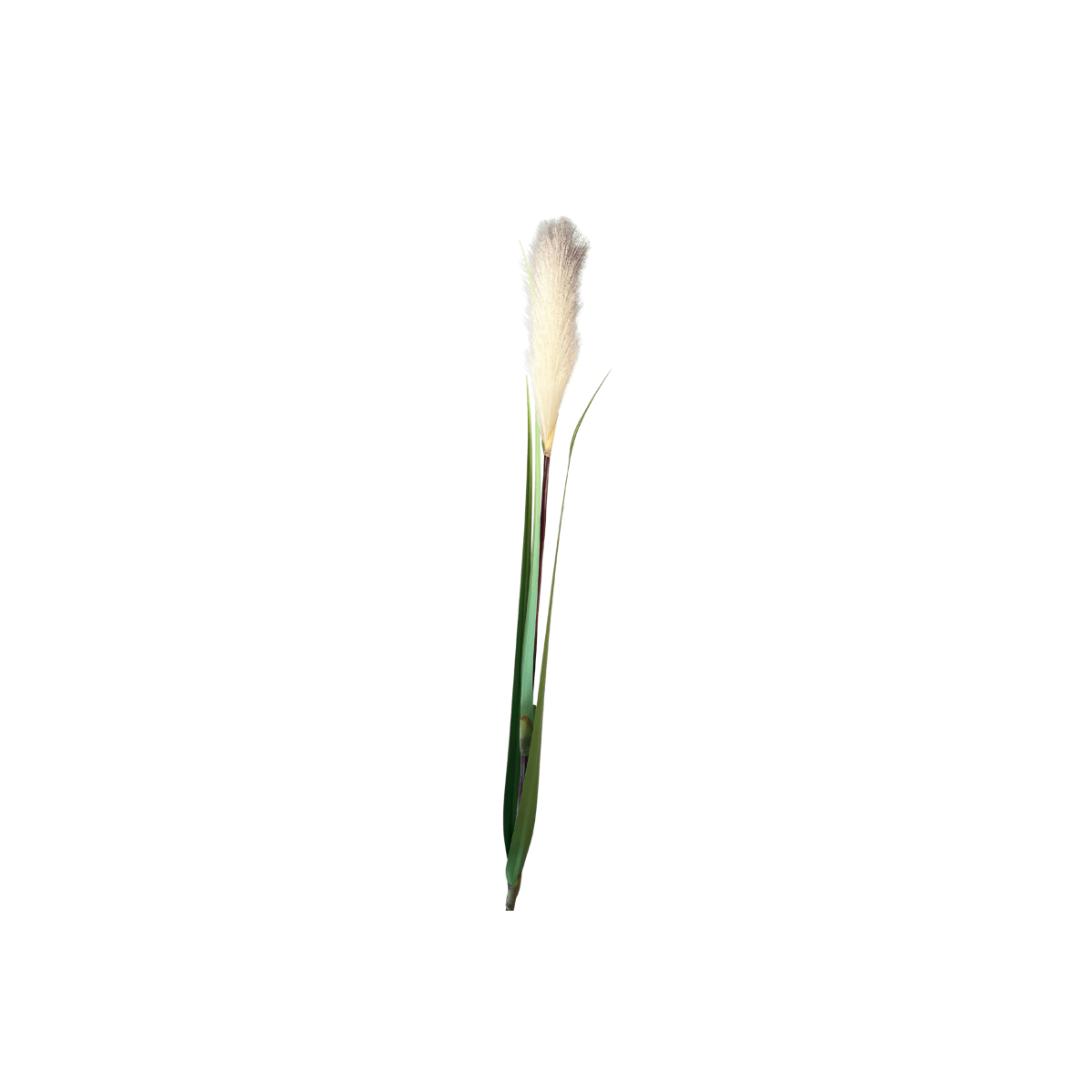 Mr. plant pampasgress 122 cm - Lindas Dekor