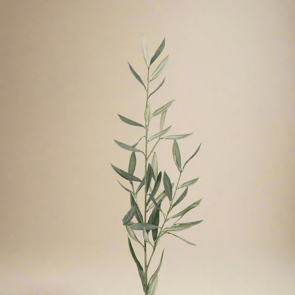 Kunstig olivenkvist 50 cm grønn fra Mr. Plant