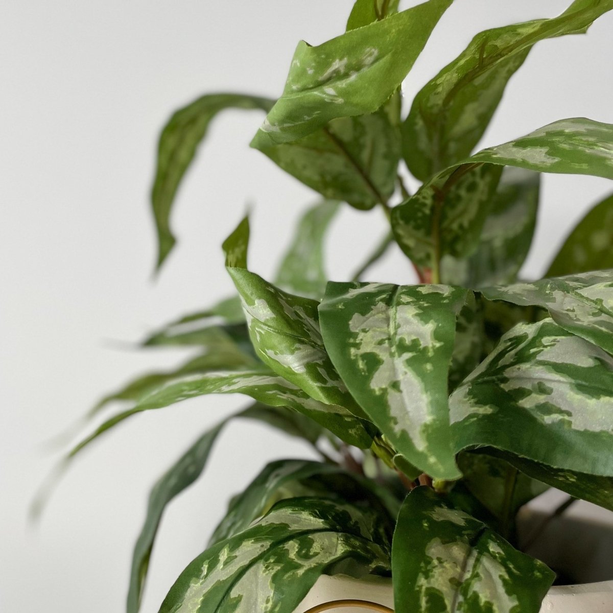 Mr. Plant Aglonema 35 cm - Lindas Dekor Kunstige planter