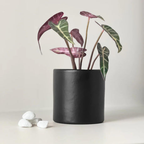 Kunstige planter - Lindas Dekor