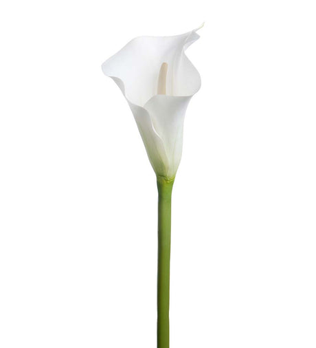 Naturtro kunstig calla lilje fra Mr. Plant – elegant og tidløs blomst for dekor og arrangementer.