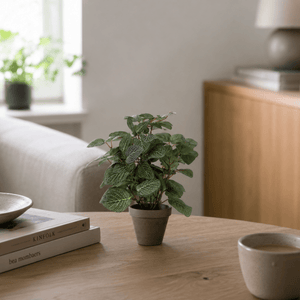 Peperomia kunstig plante grønn grå med potte - Lindas Dekor Kunstige planter