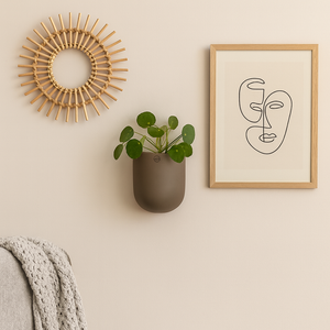 Vegghengt keramikkpotte med plante, stylet med ramme og dekorativ rund veggdekor.