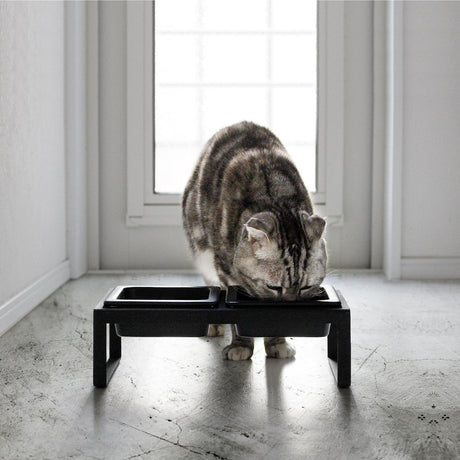 Ergonomisk matskål for hunder og katter.