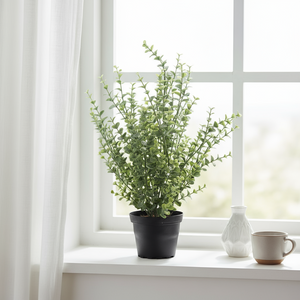 Mr. Plant Eucalyptus med grønne blader plassert i stue