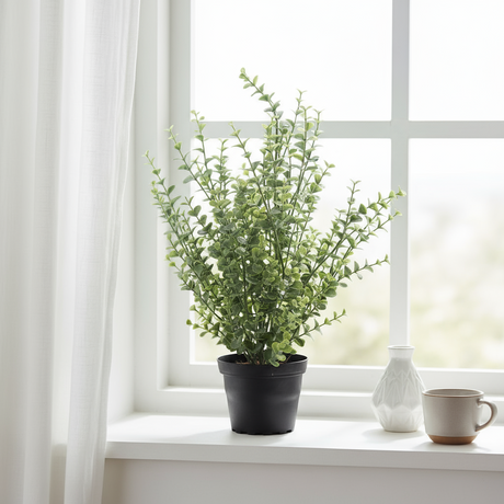 Mr. Plant Eucalyptus med grønne blader plassert i stue