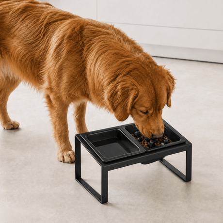 Hund eter fra hevet matskål med slow feeder sort fra Yamazaki på kjøkkengulv
