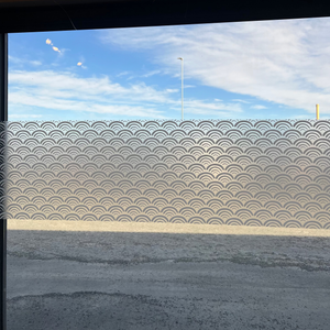 Static premium Koya vindusfolie nærbilde organisk mønster lyseffekt
