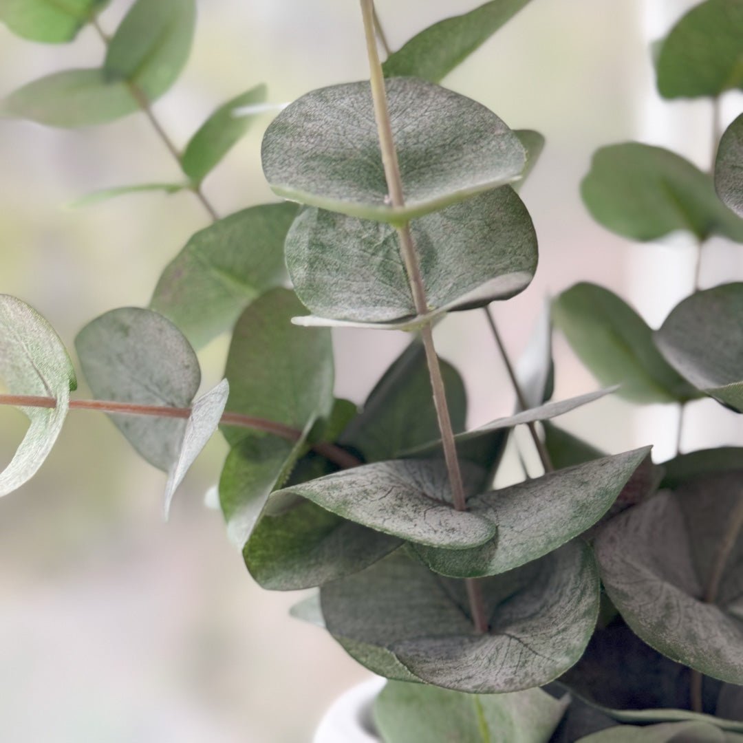 Eucalyptus & Manhattan veggvase, gull - Lindas Dekor