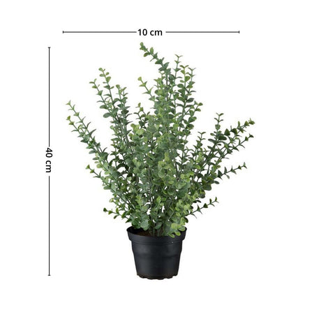 Mr. Plant eucalyptus - Lindas Dekor