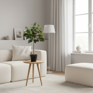 Mr. Plant Fikus Benjamin 55 cm