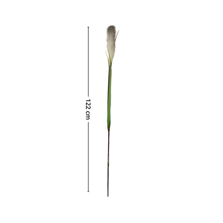 Mr. plant pampasgress 122 cm - Lindas Dekor