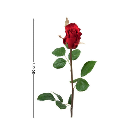 Mr. Plant rose - Lindas Dekor