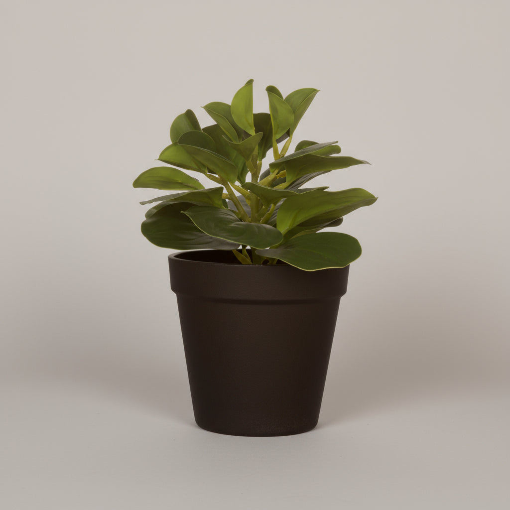 Kunstig grønn sukkulent i sort potte med jord og sand