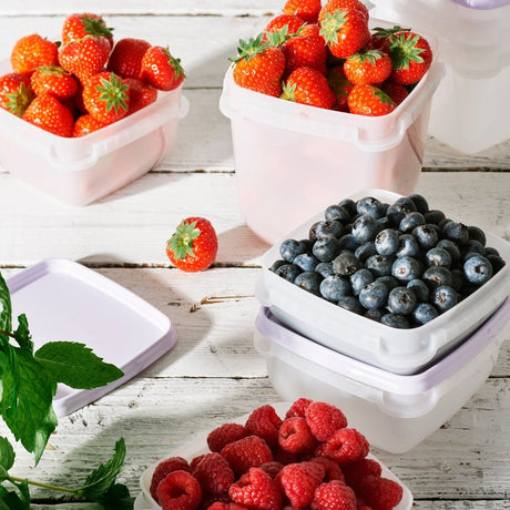 3 - pk SmartStore™ Frost 1 fryseboks L - Lindas Dekor