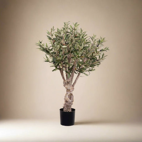 Realistisk oliventre fra Mr. Plant til hjem og kontor