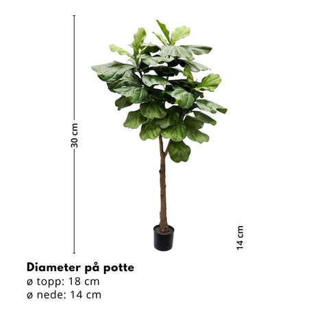 Mr. Plant Fiolfikus 30 cm - Lindas Dekor