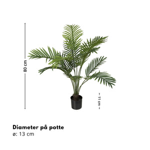 Mr. Plant Palme 80 cm
