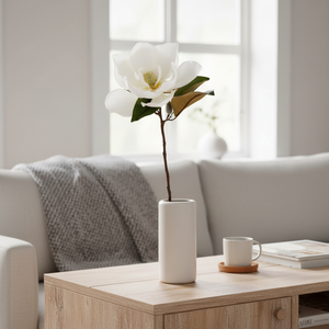 Mr. Plant Magnolia 50 cm