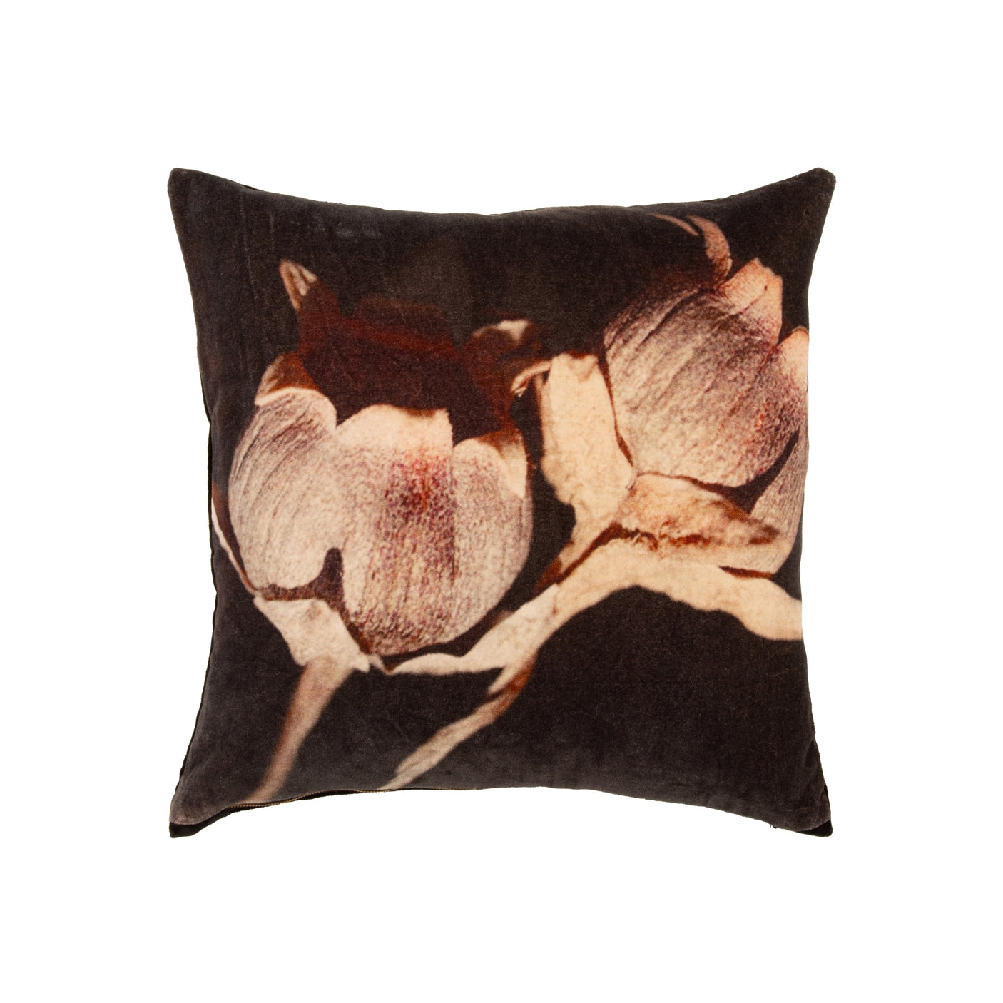 Putetrekk i sort velur med motiv av frøkapsler, 45×45 cm