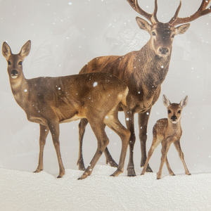 Lyslykt LED hjort 12 cm