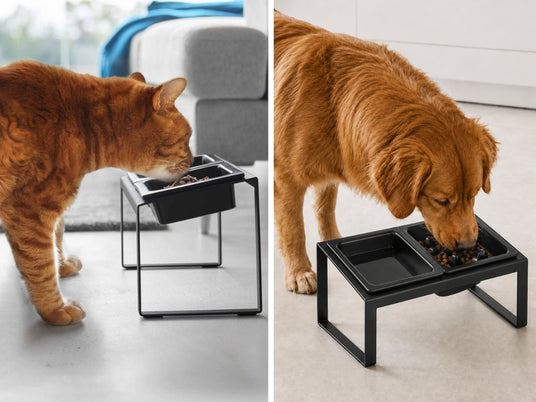 Katt og hund eter fra hevet matskål med slow feeder sort fra Yamazaki, viser stativet i bruk hjemme hos begge dyretyper